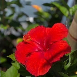 Meet your Posher, Cam